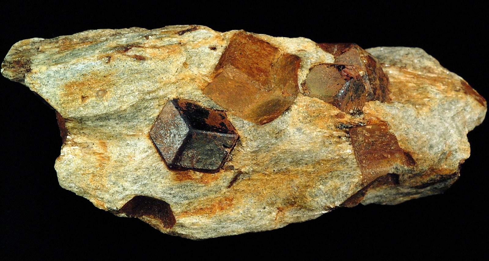 Red garnet crystals embedded in a gray schist specimen